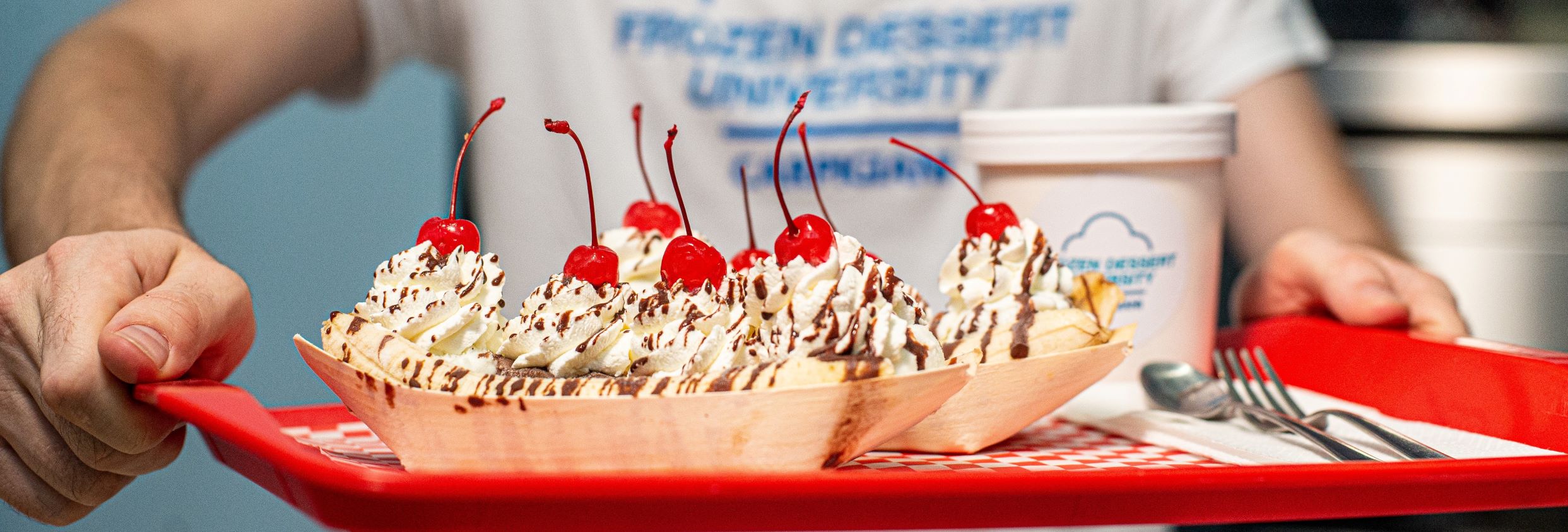 Home page CARPIGIANI CORPORATION OF AMERICA Ali Group S.r.l.